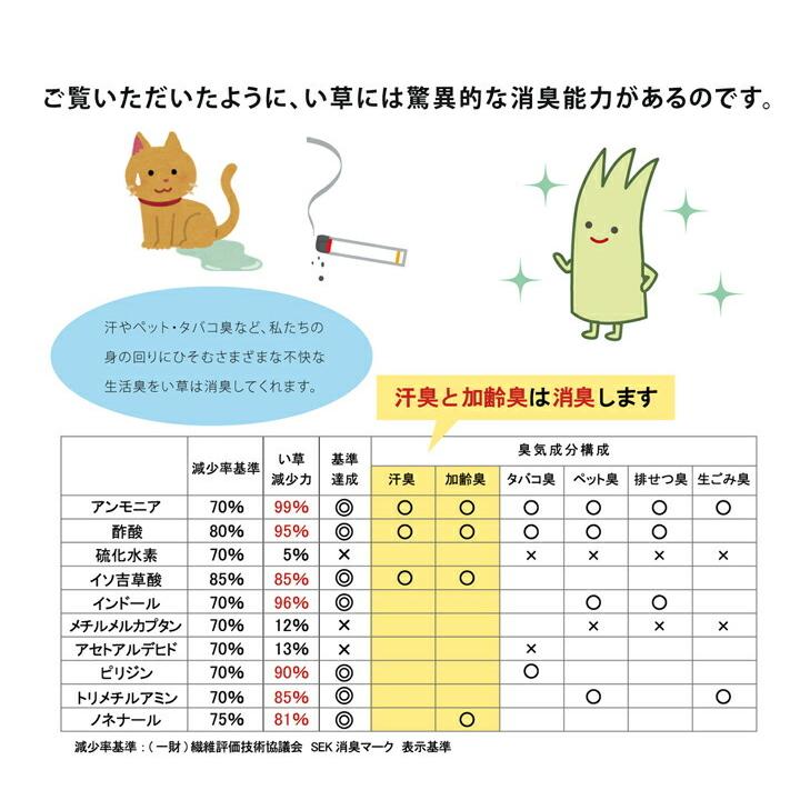 送料無料 インソール メンズ 消臭 抗菌 い草インソール 約31cm 中敷き なかじき ナカジキ 足 疲れ 消臭 湿度調整 日本製 |  | 09