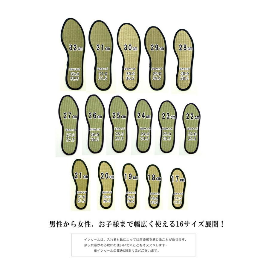 送料無料 インソール ジュニア 消臭 抗菌 い草インソール 約20cm 中敷き なかじき ナカジキ 足 疲れ 消臭 湿度調整 日本製 |  | 10
