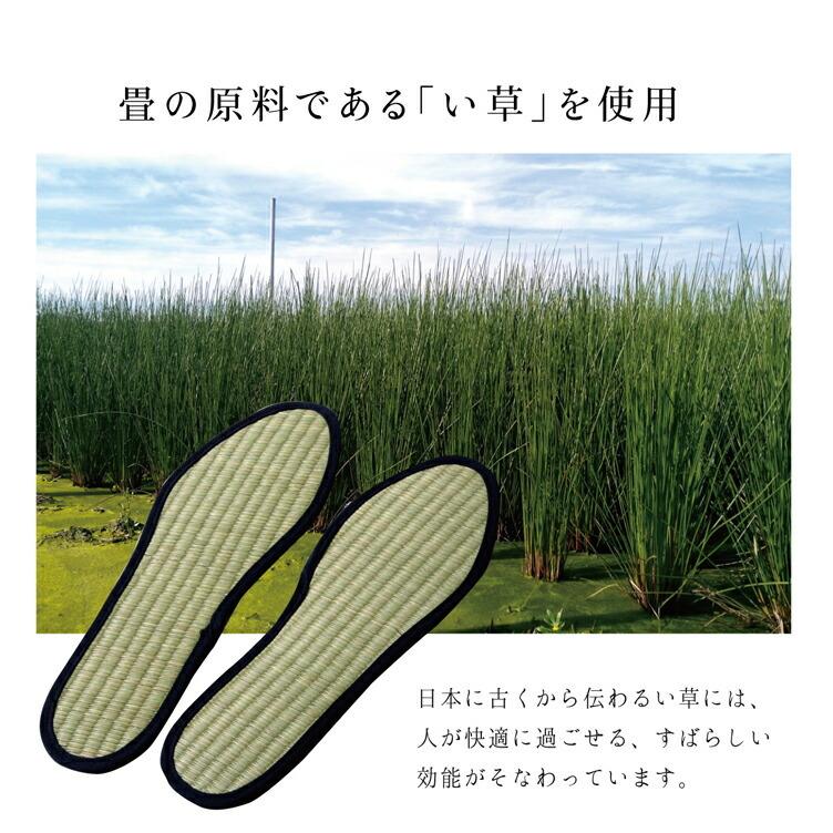 送料無料 インソール ジュニア 消臭 抗菌 い草インソール 約21cm 中敷き なかじき ナカジキ 足 疲れ 消臭 湿度調整 日本製 |  | 03