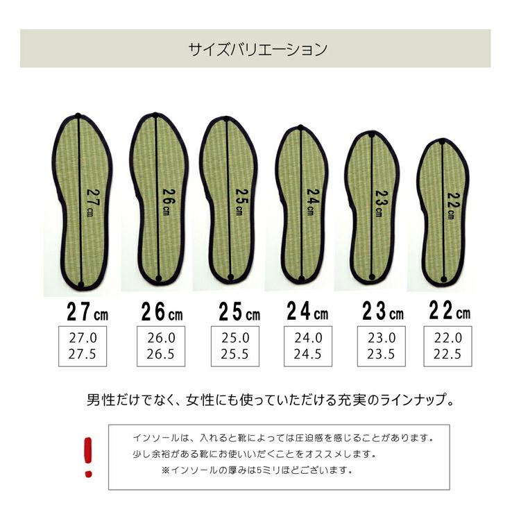 送料無料 インソール レディース 消臭 抗菌 『い草インソール』 約22cm なかじき ナカジキ 中敷 |  | 10