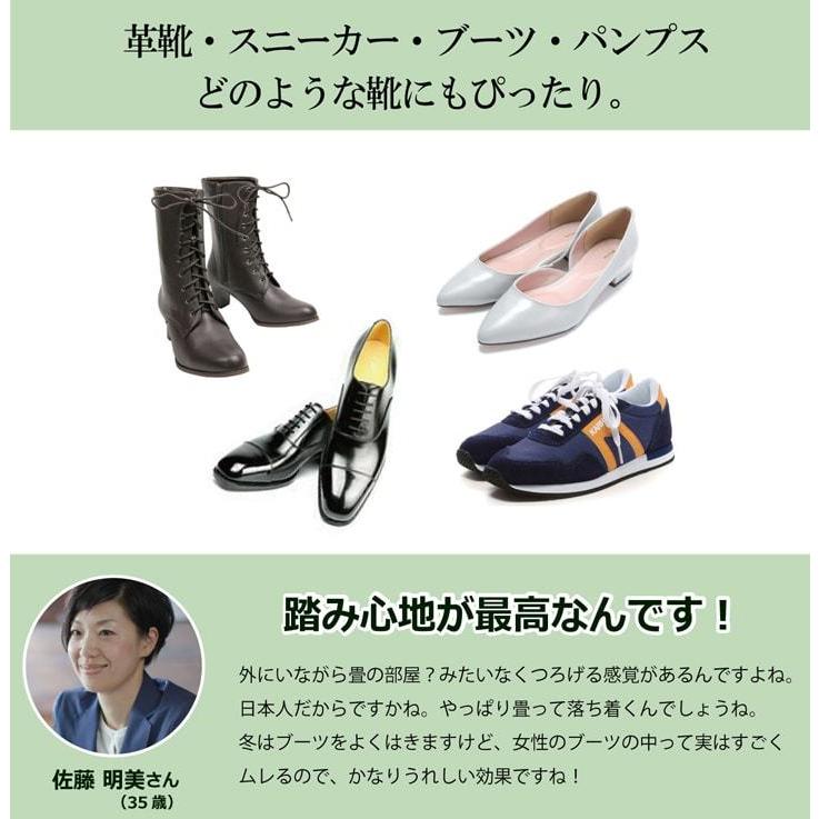 送料無料 インソール レディース 消臭 抗菌 『い草インソール』 約24cm なかじき ナカジキ 中敷 |  | 13