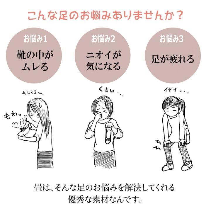 送料無料 インソール レディース 消臭 抗菌 『い草インソール』 約24cm なかじき ナカジキ 中敷 |  | 03
