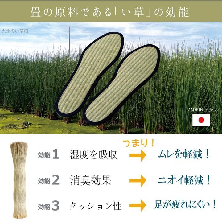 送料無料 インソール レディース 消臭 抗菌 『い草インソール』 約24cm なかじき ナカジキ 中敷 |  | 04