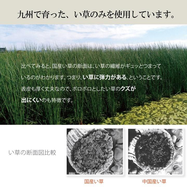 送料無料 インソール レディース 消臭 抗菌 『い草インソール』 約24cm なかじき ナカジキ 中敷 |  | 09