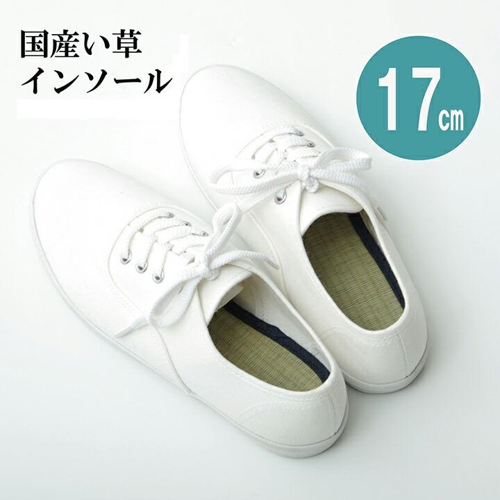 送料無料 インソール ジュニア 消臭 抗菌 い草インソール 約17cm 中敷き なかじき ナカジキ 足 疲れ 消臭 湿度調整 日本製 | 