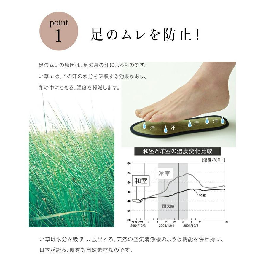 送料無料 インソール ジュニア 消臭 抗菌 い草インソール 約17cm 中敷き なかじき ナカジキ 足 疲れ 消臭 湿度調整 日本製 |  | 04