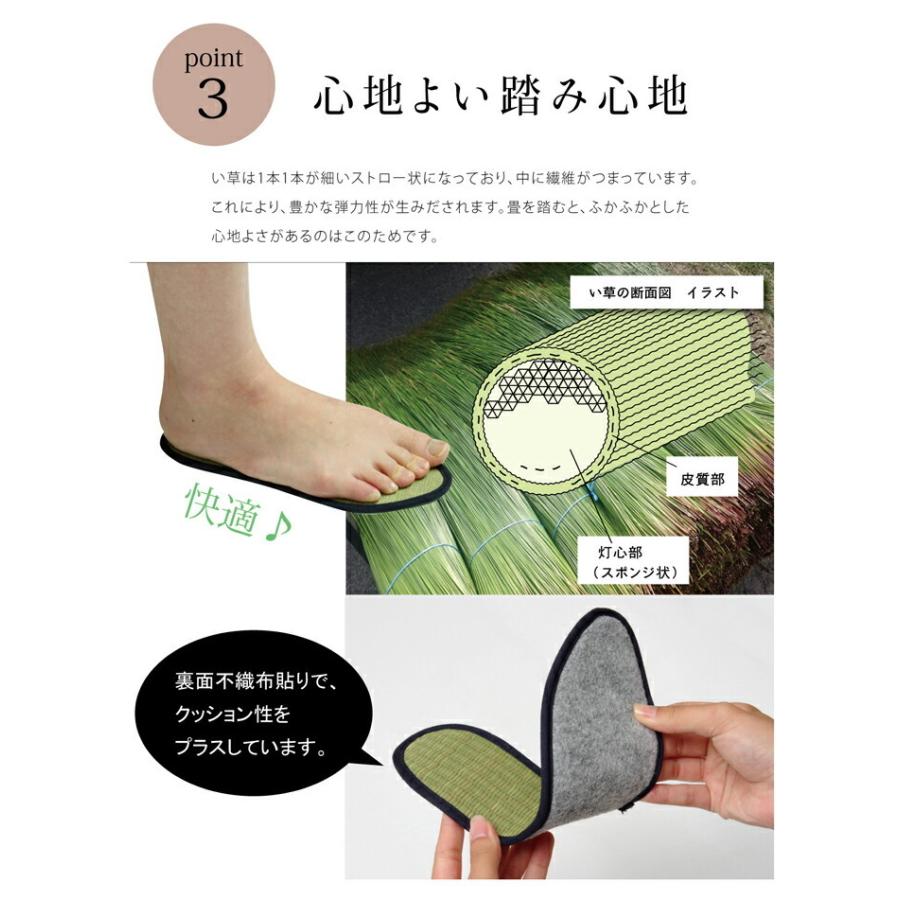 送料無料 インソール ジュニア 消臭 抗菌 い草インソール 約19cm 中敷き なかじき ナカジキ 足 疲れ 消臭 湿度調整 日本製 |  | 06