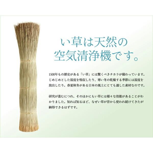 い草ラグ 夏用 い草ラグ 花ござ カーペット 江戸間2畳 約174×174cm 正方形 ラグ 国産 三重織り チェック柄 銀河 茣蓙 イ草カーペット い草上敷き 上敷き |  | 17