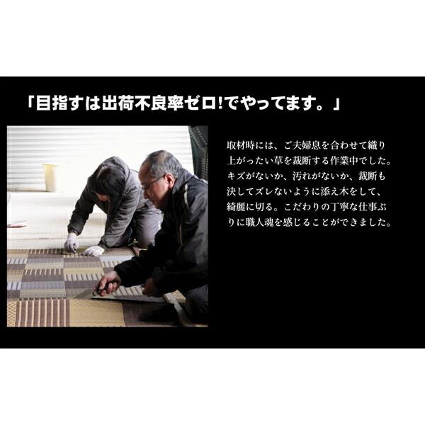 い草ラグ 夏用 国産 い草 上敷き 6畳 花ござ い草カーペット カーペット い草 ラグ い草ラグ 京刺子 本間6畳 約286×382cm い草上敷き センターラグリビングラグ |  | 09