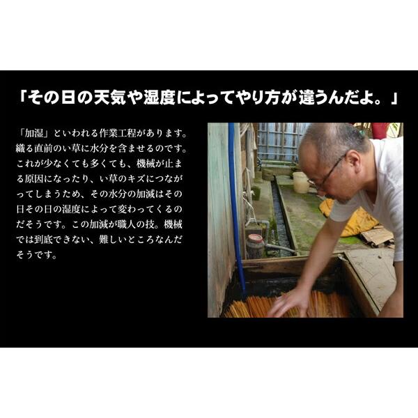 い草ラグ 夏用 い草ラグ カーペット ラグ 本間8畳 約382×382cm 国産 京刺子 い草上敷き 上敷きカーペット い草カーペット ラグ 畳マット い草ラグ |  | 08