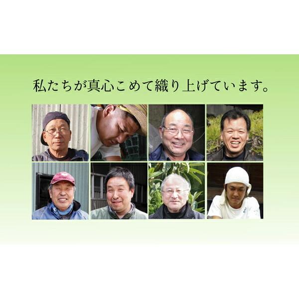 い草ラグ 夏用 国産 無地 花莚 イ草花ござカーペット い草 上敷き カーペット い草上敷カーペット 扇 江戸間4.5畳 約261×261cm い草 ラグ い草ラグ い草上敷き |  | 05