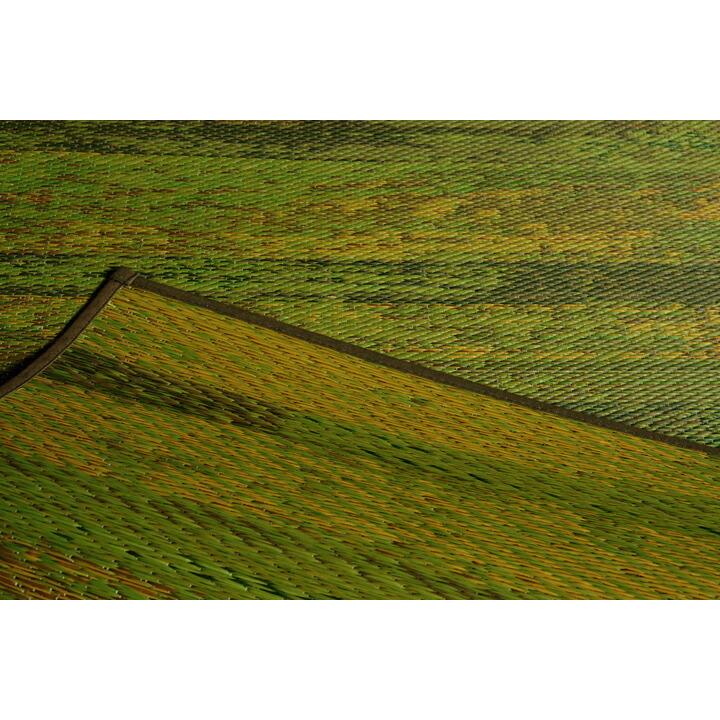 送料無料 国産 い草 上敷き 4.5畳 花茣蓙 い草カーペット カーペット い草 ラグ い草ラグ カイン 江戸間4.5畳 約261×261cm 上敷きカーペット い草上敷き ござ |  | 08