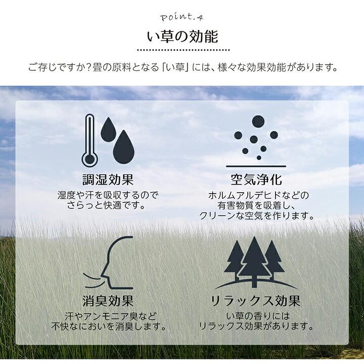 い草ラグ 夏用 い草ラグ 裏ばり カーペット ラグ 2畳 ギャッベ ギャベ 柄 江戸間6畳 約261×352cm 不織布 い草花ござ 上敷きカーペット い草上敷き |  | 07