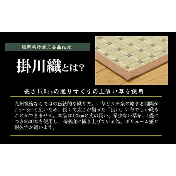 い草ラグ 夏用 い草 ラグ い草上敷き 2畳 掛川織 『豊後』 江戸間2畳 約174×174cm い草カーペット い草上敷きカーペット い草ラグ い草 上敷き 畳 センターラグ |  | 03