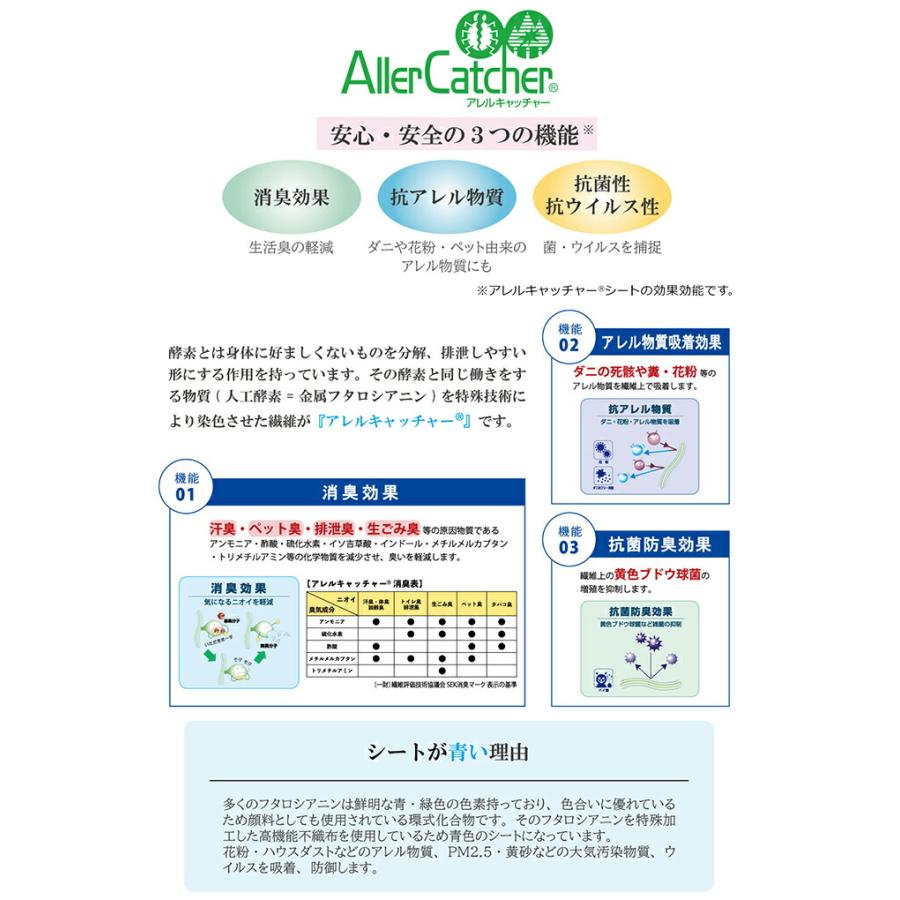 日本製 ラグ カーペット シャギー 無地 約3.9畳 約200×300cm 長方形 ラグマット リビングカーペット リビングマット ルームマット ダニ対策 |  | 06