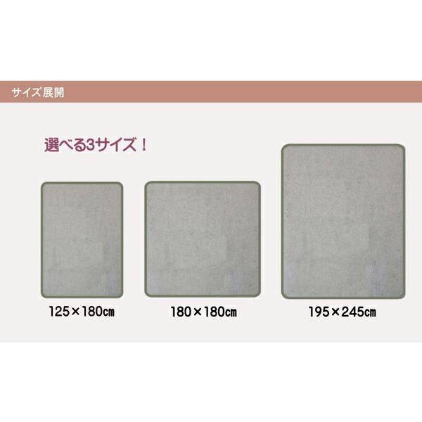 ふっくらボリュームアップラグ ラグカーペット ヌード ボリューム 追加仕様 ラグマット8 約125×180cm ウレタン8mmタイプ 長方形 カーペット下 遮音 防音 |  | 06