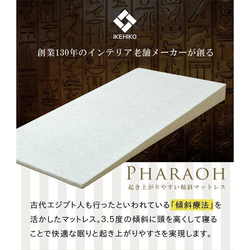 傾斜　斜め　マットレス　寝具　収納　便利　起き上がる　楽　高反発　起きやすい　シングル　97×195cm |  | 03