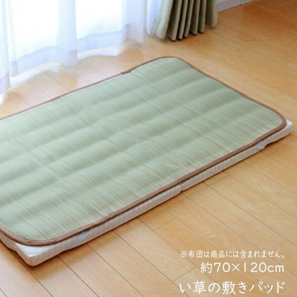 純国産 寝茣蓙 寝ござ やわらかい草の敷きパッド さらさらKA ベビー敷P 約70×120cm ベビーシーツ 敷パッド い草シーツ ひんやり 涼しい 赤ちゃん 子供用 キッズ | 
