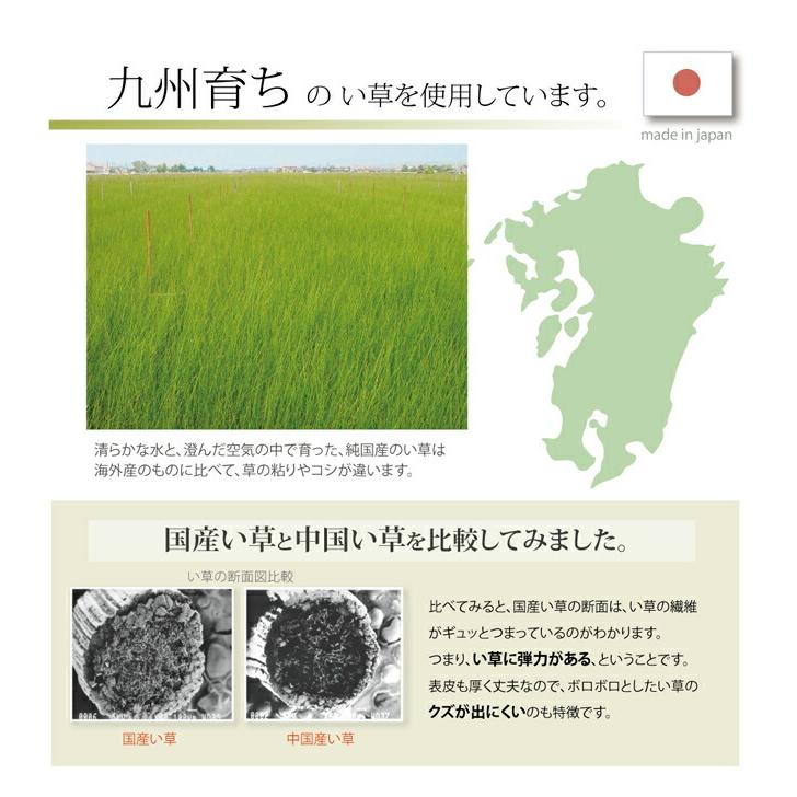 い草ごろ寝マット い草 ベビーマット い草マット 国産 さわやか R縁Jrマット 約70×120cm ベビー ジュニア 赤ちゃん い草マットレス 畳み ねござ 寝ござ |  | 05