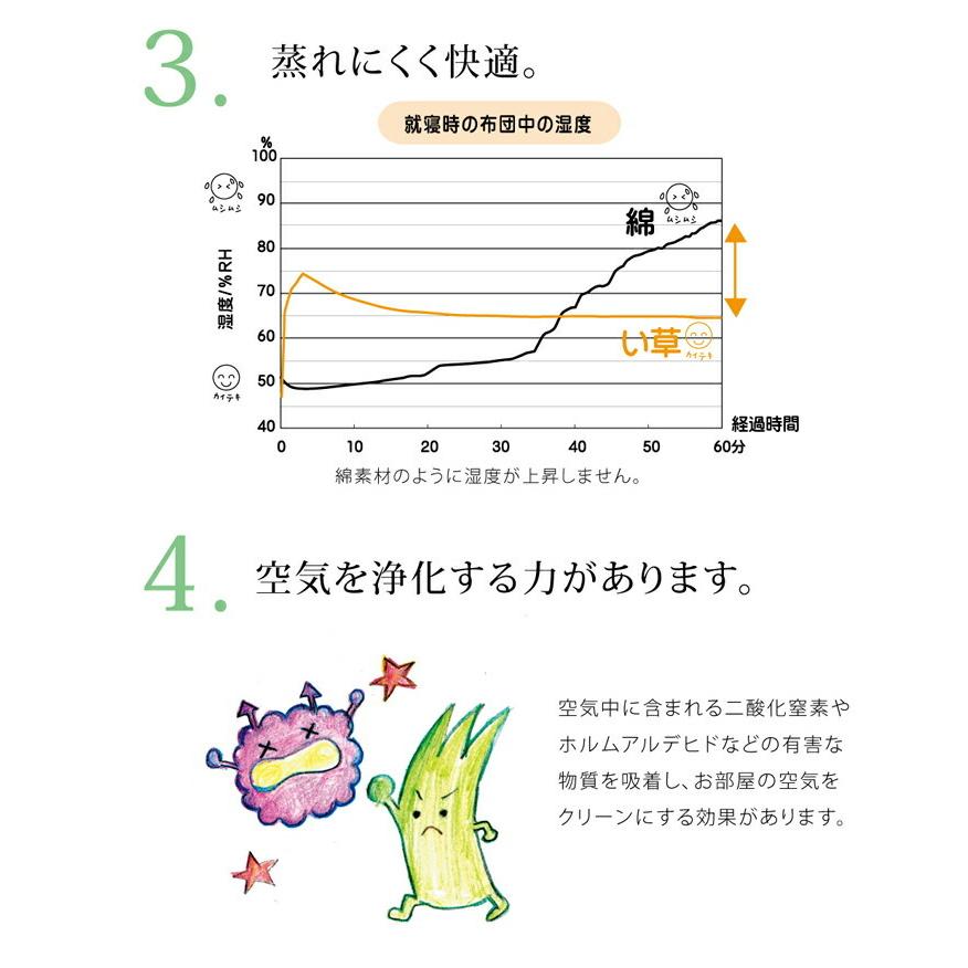 い草ごろ寝マット い草 ベビーマット い草マット 国産 さわやか R縁Jrマット 約70×120cm ベビー ジュニア 赤ちゃん い草マットレス 畳み ねござ 寝ござ |  | 08