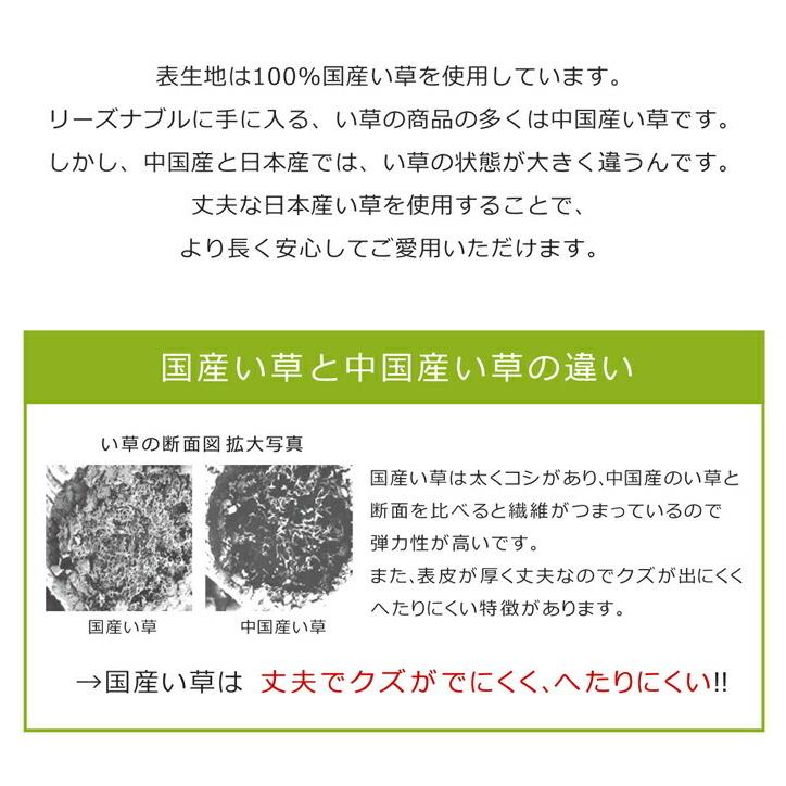 純国産 ごろ寝マット フリーマット ことり 約70×180cm 中材:固綿15mm 折りたたみ い草マットレス 畳み ねござ 寝ござ い草寝ござ 寝茣蓙 ネゴザ 長座布団 |  | 03