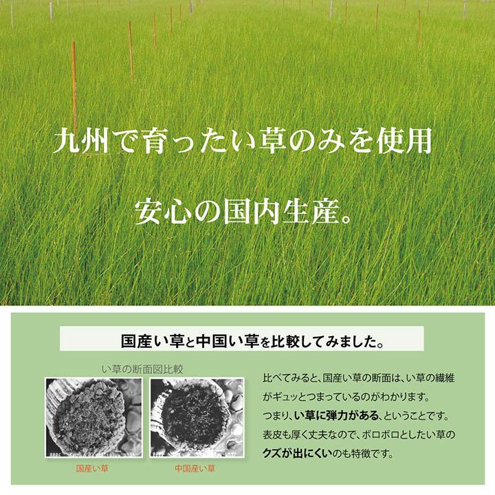 日本製 い草 い草マット 子供用 お昼寝 星柄 約70×120cm ベビー用い草マット 吸湿性 抗菌防臭 ごろ寝マット 折りたたみ 赤ちゃん おむつ替え ネゴザ 寝茣蓙 |  | 04
