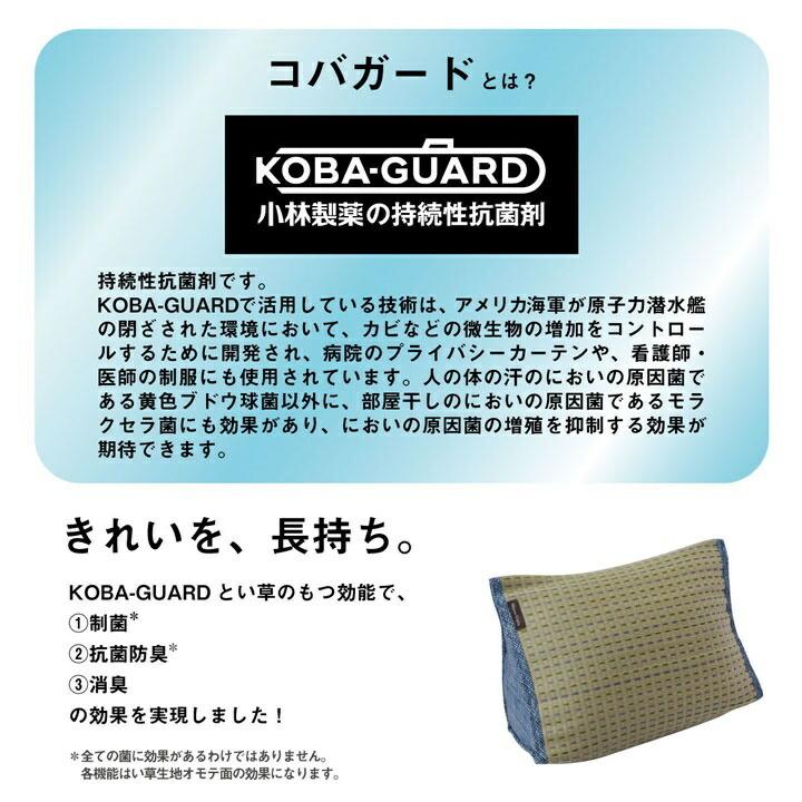 クッション くつろぎ い草 抗菌防臭 シンプル 小林製薬コバガード使用 約40×30×20cm |  | 03
