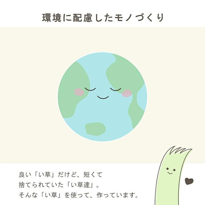 枕 ピロー 角枕 サスティナブル  自然素材 国産 日本製 い草 無垢 消臭 蒸れにくい ナチュラル 35×15cm 高さ調整 吸湿 無添加い草 |  | 09