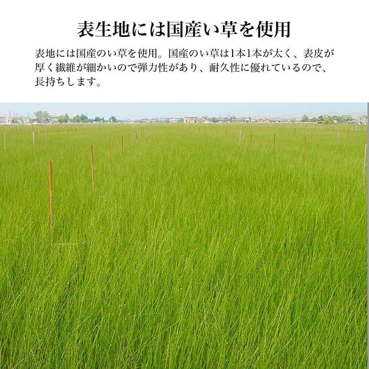 日本製 い草 足枕 くつろぎ 刺しゅう入り 父の日 母の日 ギフト 足まくら リラックス フットピロ― むくみ 脚枕 ケア リフレ 脚まくら 足置き フットレスト |  | 08