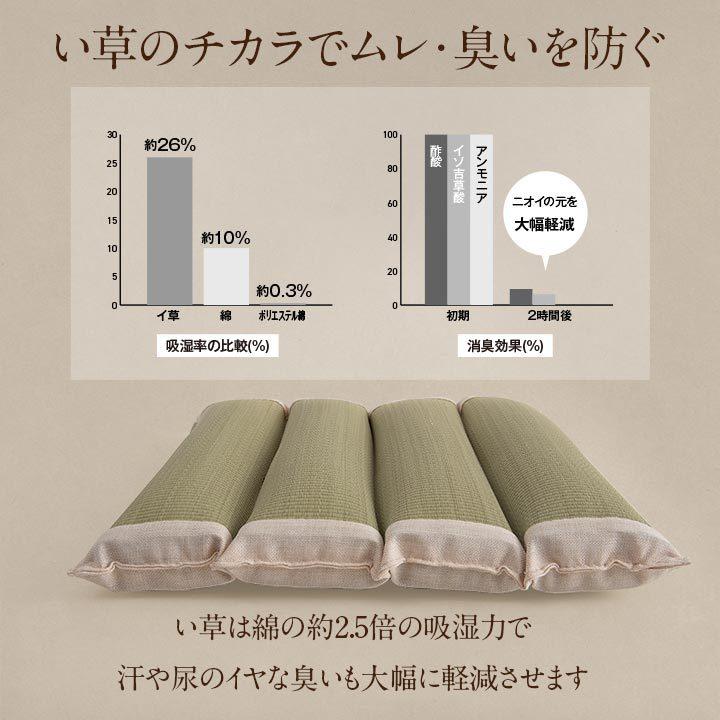 介護 サポート ヘルスケア クッション い草 車いす用 在宅用 体圧分散 ムレにくい 約50×50cm 背当て 腰当て 硬め い草クッション 吸湿 消臭 ハイバック仕様 |  | 03