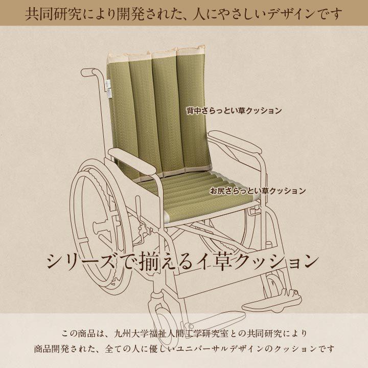 介護 サポート ヘルスケア クッション い草 車いす用 在宅用 体圧分散 ムレにくい 約50×50cm 背当て 腰当て 硬め い草クッション 吸湿 消臭 ハイバック仕様 |  | 05
