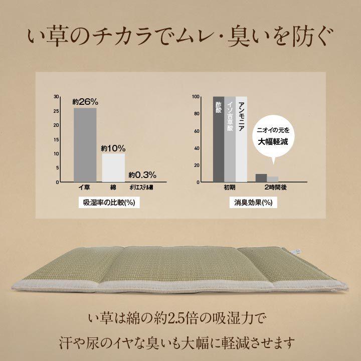 介護 サポート ヘルスケア クッション 消臭 通気性抜群 い草 約35×38cm 背当て 腰当て い草クッション 吸湿 消臭 |  | 03