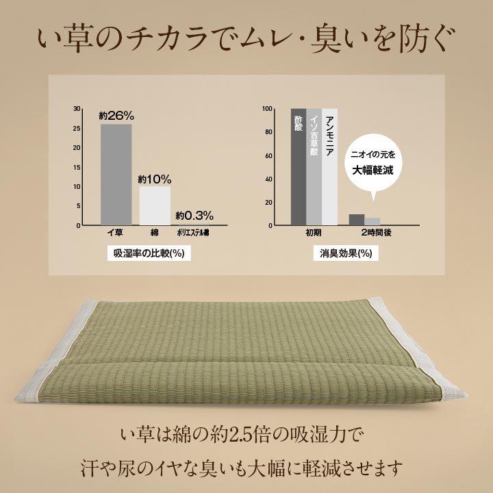 介護 サポート ヘルスケア クッション 消臭 通気性抜群 い草 約40×40cm い草クッション 吸湿 消臭 チェアーパッド チェアパット |  | 03