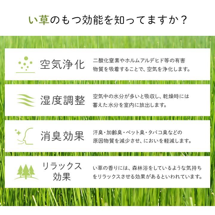 国産 キャラクター い草 子供 おすすめ アンパンマン プレイマット『アンパンマン大集合』 約132×132cm い草カーペット カーペット い草 ラグ い草ラグ |  | 04