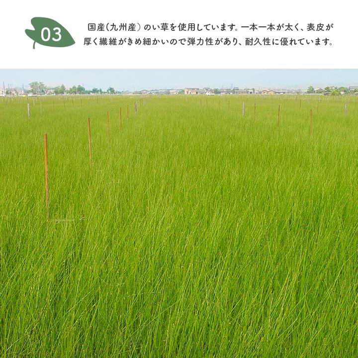 国産 となりのトトロ  ととろ カーペット おすすめ おしゃれ 人気 い草ラグ 『F森のトトロ』 約140×180cm ウレタンイ草マット ゴザ 茣蓙 上敷き |  | 05