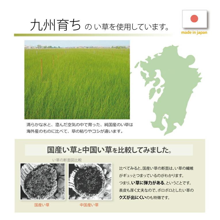 い草ごろ寝マット マットレス シングル 三つ折り い草 置き畳 国産 い草マットレス 約100×210cm 折りたたみ い草マットレス ねござ 寝ござ |  | 08