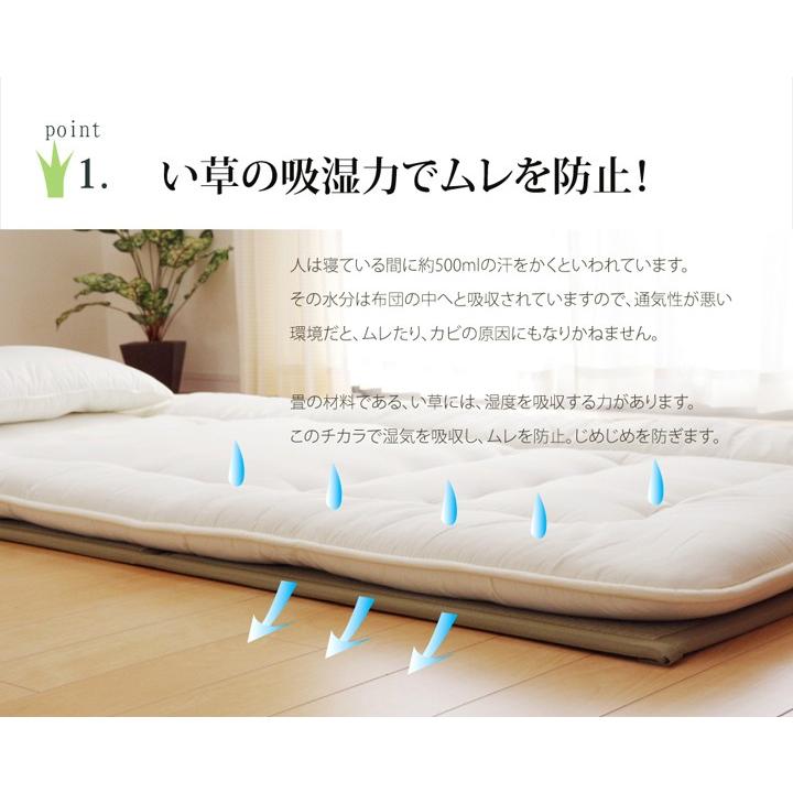 マットレス ダブル 三つ折り い草 置き畳 国産 い草マットレス 約140×210cm 調湿 消臭 寝茣蓙 ごろ寝マット い草寝ござ い草マット ごろ寝クッション シンプル |  | 02