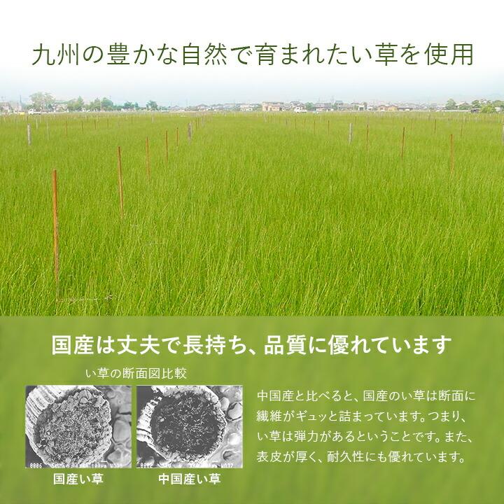 置き畳 半畳 国産 い草 簡単 和室 ユニット畳 畳マット フローリング畳 システム畳  約82×82cm 2枚組 ジョイント畳 防音 遮音 軽量 和風 和室 リビング |  | 03