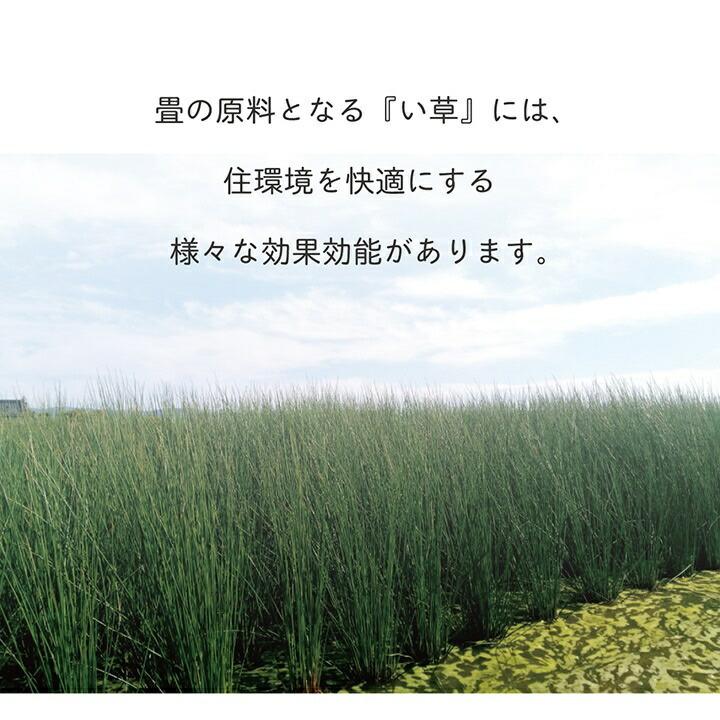 い草 置き畳 ユニット畳 システム畳 畳マット フローリング 無地 ナチュラル 縁無し 防炎 裏面滑り止め 収納便利 約70×70×1.5cm 6枚組 プレイマット キッズ 夏 |  | 14