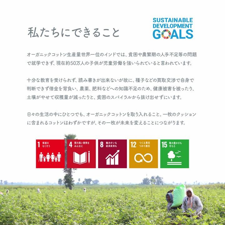クッション 円形 円座 穴あき 日本製 オーガニックコットン 綿100% ボーダー 洗える 約35cm丸 いす用 椅子 モダン シンプル かわいい 座布団 ザブトン おしゃれ |  | 05