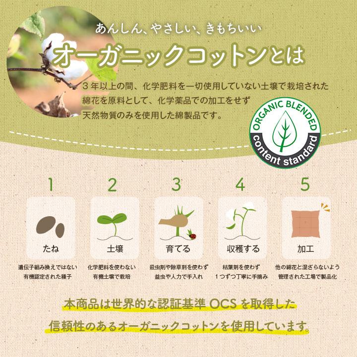 クッション 円形 円座 穴あき 日本製 オーガニックコットン 綿100% ボーダー 洗える 約35cm丸 いす用 椅子 モダン シンプル かわいい 座布団 ザブトン おしゃれ |  | 03