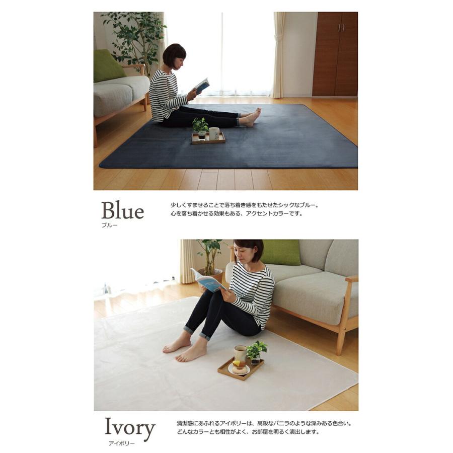 カーペット ラグマット ラグ だ円形 洗える 無地 ピオニー 約100×140cm楕円 滑り止め すべり止め フロアマット ホットカーペットカバー 床暖房対応 絨毯 北欧 |  | 09