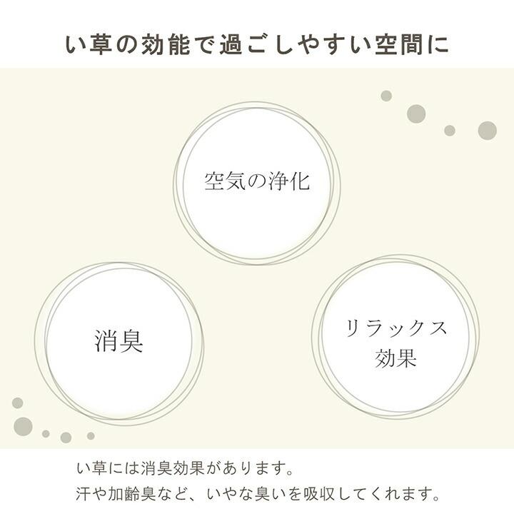 フレグラス サスティナブル  自然素材 国産 い草 無垢 インテリア 置物 オブジェ ナチュラル 60cm ディフューザー 観葉植物 オブジェ おしゃれ 雑貨 |  | 03