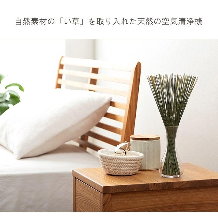 フレグラス サスティナブル  自然素材 国産 い草 無垢 インテリア 置物 オブジェ ナチュラル 30cm ディフューザー 観葉植物 オブジェ おしゃれ 雑貨 |  | 02