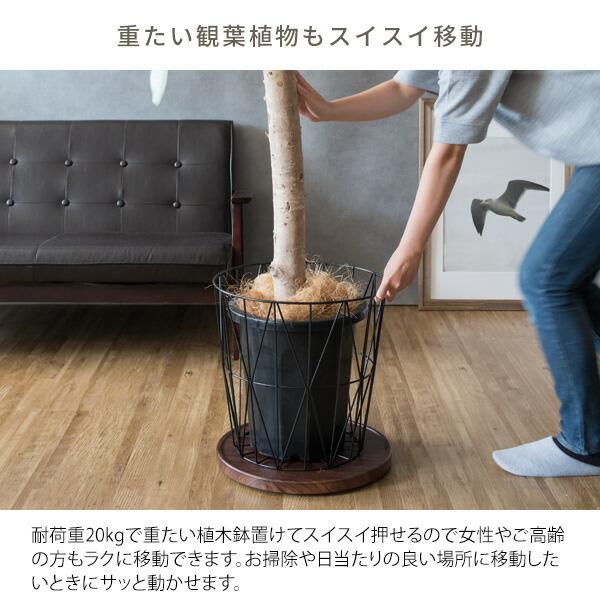 プランタースタンド 室内 キャスター付き 丸 移動 おしゃれ フラワースタンド インテリア 鉢台 観葉植物 Treno トレーノ |  | 03