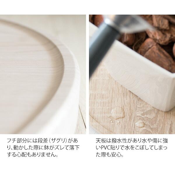 プランタースタンド 室内 キャスター付き 丸 移動 おしゃれ フラワースタンド インテリア 鉢台 観葉植物 Treno トレーノ |  | 04