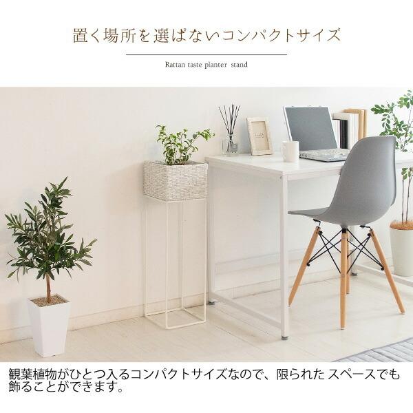 プランタースタンド フラワースタンド プランターラック 花台 ラタン風 室内 植木鉢 玄関 ハイタイプ おしゃれ インテリア デザイン コンパクト |  | 04