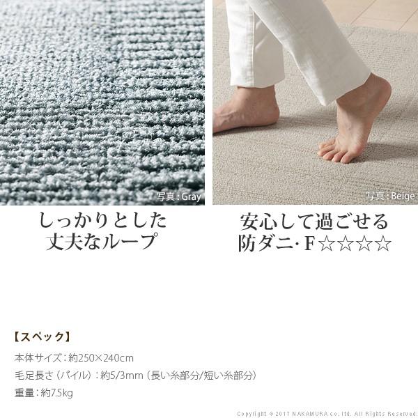ラグ 撥水 撥水ダイニングラグ 〔プルーフ〕 250x240cm 防ダニ |  | 02