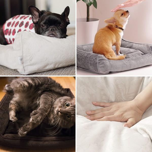 ペット用品 ペット ベッド ドルチェ Mサイズ タオル付き カドラー 犬用 猫用 小型 中型 ソファタイプ |  | 01