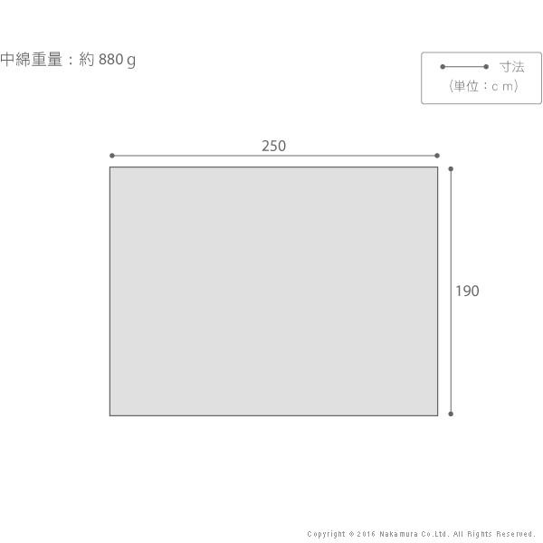 こたつ布団 長方形 保温綿入りこたつ布団 チェックタイプ 〔ヒートウィンターチェック〕250x190cm 中綿 防汚加工 チェック柄 撥水 洗える あったか |  | 02